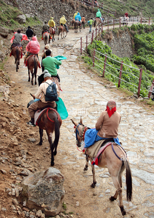 Kedarnath